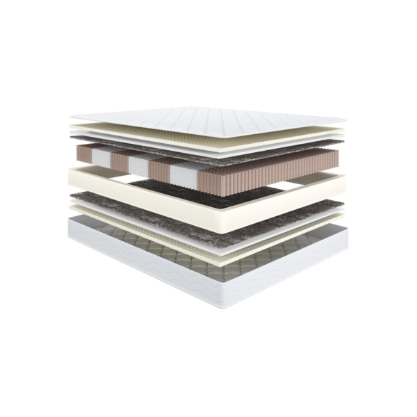 Saltea Family Passion